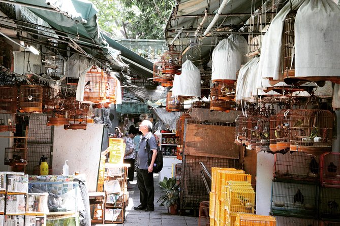 Small-Group Tour: Local Markets Hopping Tour in Hong Kong [] - Highlights of the Tour