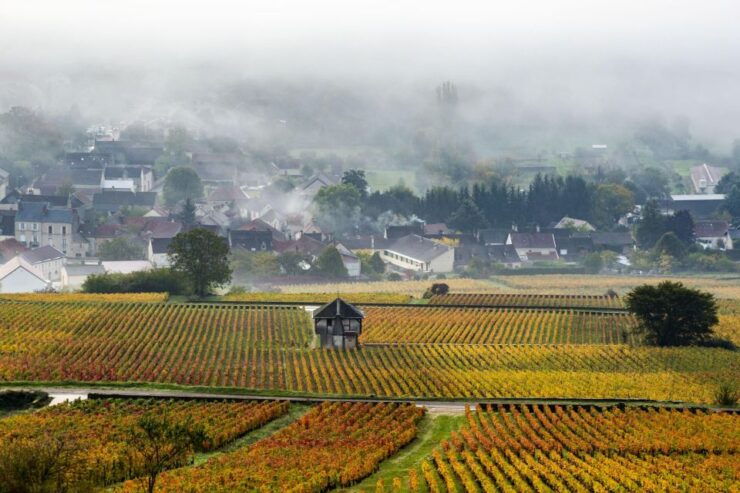 Small Group Tour Morning in Côte De Beaune - Experience Highlights