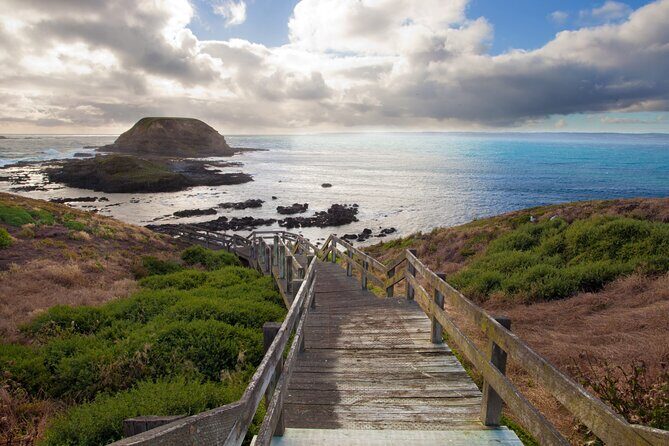Small Group Tour of 2-7pax in Phillip Island & Churchill Island - Exploring the Itinerary in Detail  