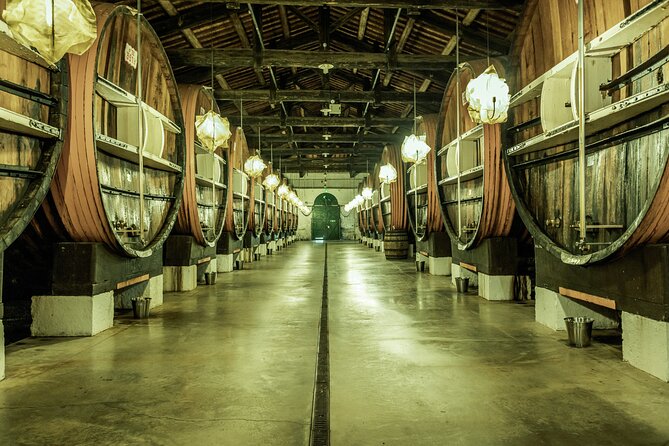 Small-Group Tour of Noilly Prat Vermouth Cellar With Tasting - Cellar and Facilities: A Behind-the-Scenes Look