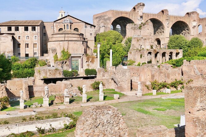 Small-Group Tour of Roman Forum, Palatine Hill & Circus Maximus - Recent Review and Response