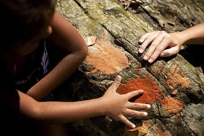 Small-Group Tour of the Daintree With an Aboriginal Guide  - Port Douglas - Tour Details