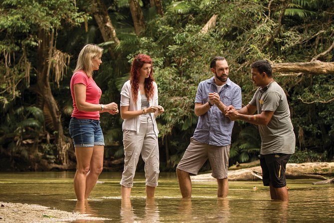 Small-Group Tour of the Daintree With an Aboriginal Guide  - Port Douglas - Additional Information