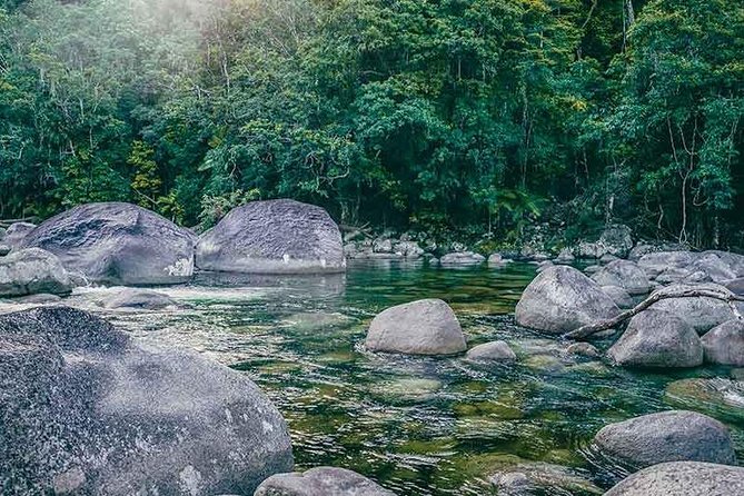 Small-Group Tour of the Daintree With an Aboriginal Guide  - Port Douglas - The Sum Up