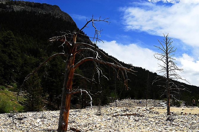 Small-Group Tour of the Rocky Mountain National Park From Denver - Note