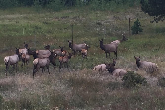 Small-Group Tour of the Rocky Mountain National Park From Denver - Common Questions