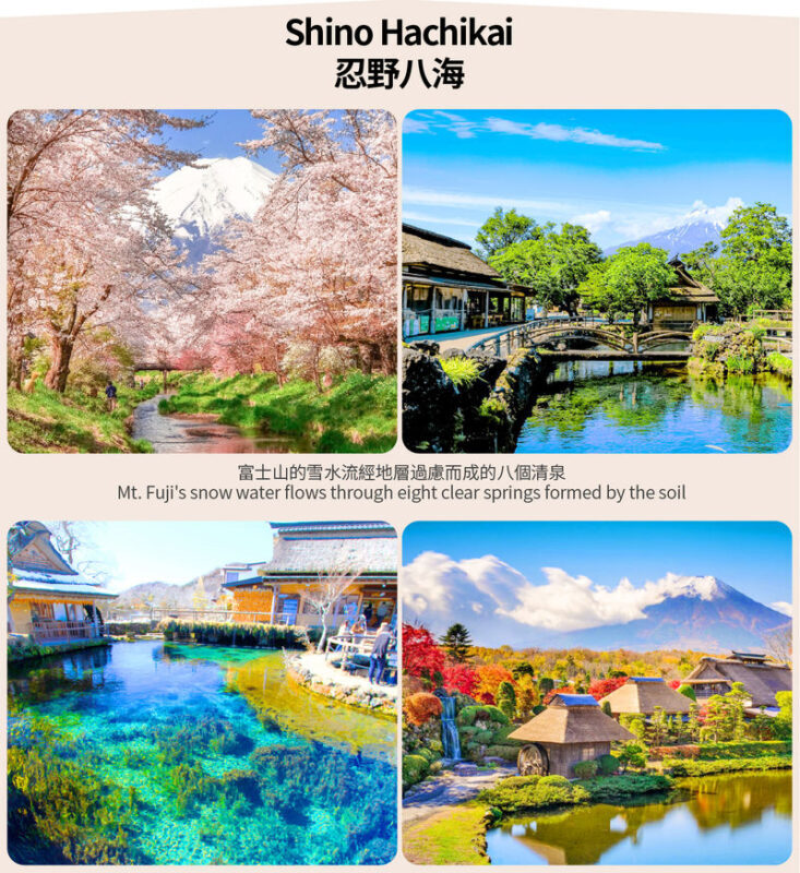 Small Group Tour of Tokyo, Mount Fuji, and Lake Yamanaka (including cycling) - Oshino Hakkai and the Fuji-area stops