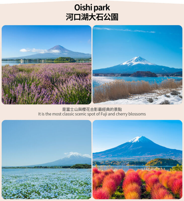 Small Group Tour of Tokyo, Mount Fuji, and Lake Yamanaka (including cycling) - The small-group ride from Tokyo