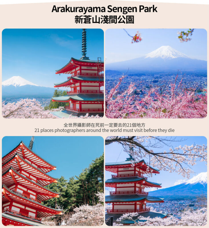 Small Group Tour of Tokyo, Mount Fuji, and Lake Yamanaka (including cycling) - Who should book this tour