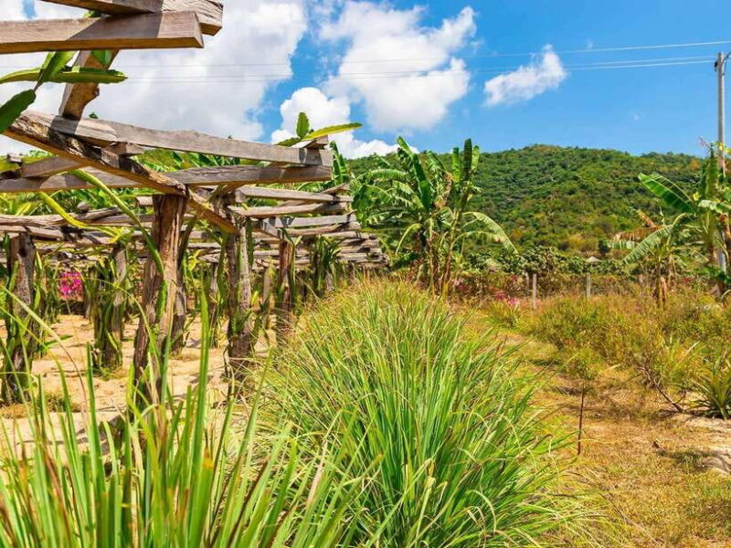 Small Group Tour: One Day Phnom Penh to Kampot & Kep - Who Might Find It Less Suitable?