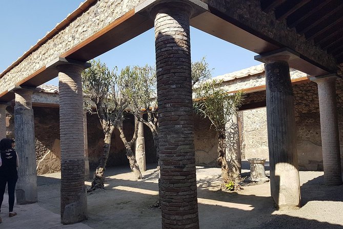 Small-Group Tour: Pompeii and Naples From Rome With Lunch in a Biologic Farm - Highlights and Customer Satisfaction