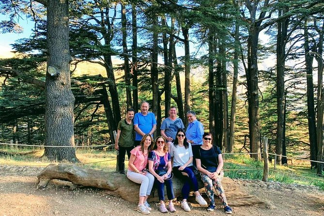 Small-Group Tour Qadisha Valley, Becharre and Cedars With Lunch and Tickets - Important Information