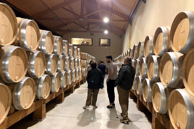 Small Group Tour - Ribera Del Duero Super Taster With Lunch - Tour Overview and Inclusions
