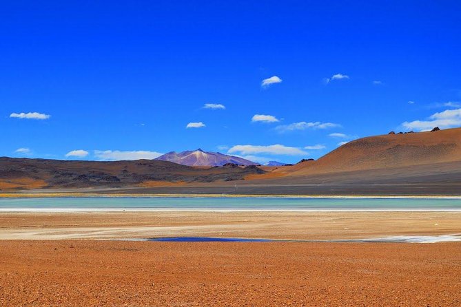 Small-Group Tour to Laguna Cejar, Ojos Del Salar and Laguna Tebinquinche - Tour Logistics