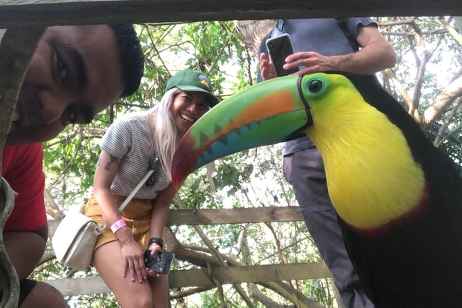 Small Group Tour to the Aviary From Cartagena - Tour Overview