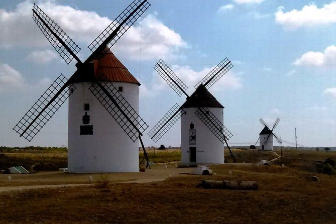 Small Group Tour to Toledo, Windmills & Winery Tour With Lunch - Common Questions