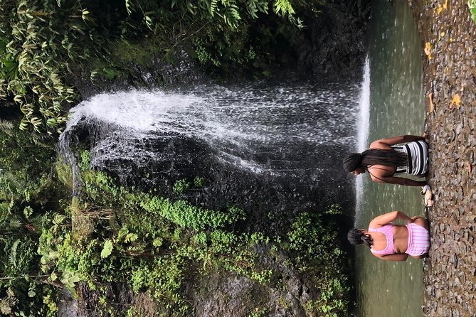 Small-Group Tour: Unmissable Martinique With Rum Distillery, Ruins, and More - Traveler Reviews and Ratings