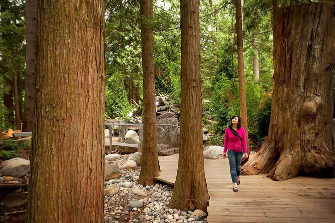Small Group Tour: Vancouver Sightseeing and Capilano Suspension Bridge - Pricing and Booking