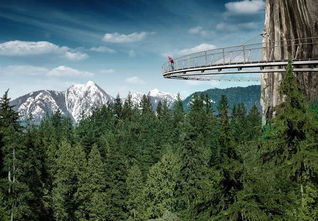 Small Group Tour: Vancouver Sightseeing and Capilano Suspension Bridge - Tour Overview