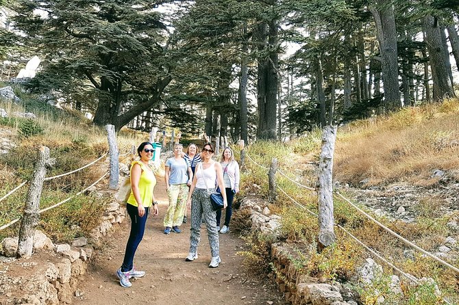 Small-Group Tour With Lunch to Qadisha Valley, Bcharre and Cedars - Customer Reviews