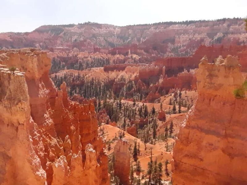 Small Group Tour Zion & Bryce Canyon National from Las Vegas - Who Is This Tour Best For?