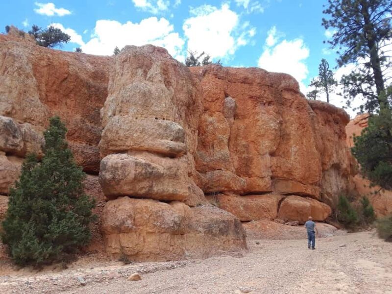 Small Group Tour Zion & Bryce Canyon National from Las Vegas - The Sum Up