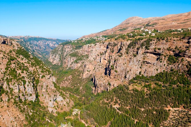 Small Group Tours From to Baalbek, Cedars and Qozhaya With Lunch and All Fees - Pricing and Booking