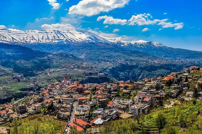 Small Group Tours to Qadisha Valley, Bcharre and Cedars With Lunch and All Fees - Group Size and Transportation