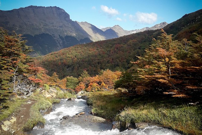 Small Group Trekking to Vinciguerra Glacier and Témpanos Lagoon - Tour Highlights