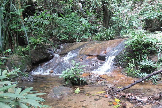 Small Group : Trekking Trip in Chiang Mai (Doi Suthep Area) With Market Tour - Meeting and Ending Points