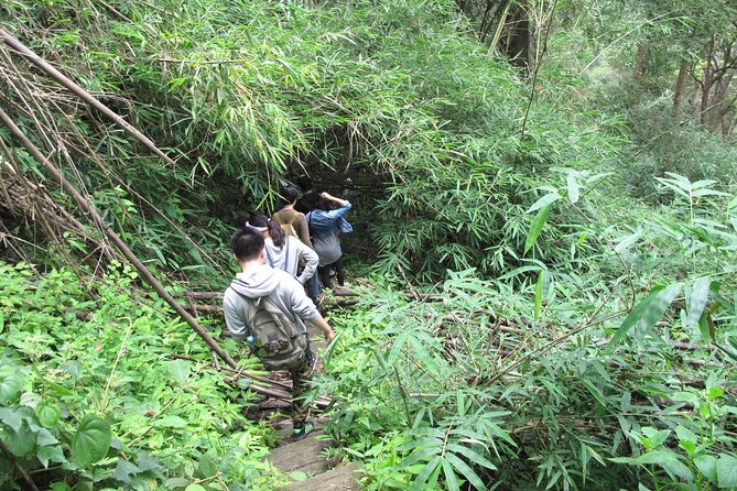 Small Group : Trekking Trip in Chiang Mai (Doi Suthep Area) With Market Tour - Highlights of the Trekking Trip