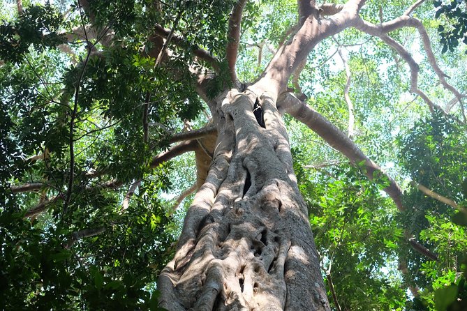 Small Group : Trekking Trip in Chiang Mai (Doi Suthep Area) With Market Tour - Traveler Photos and Reviews