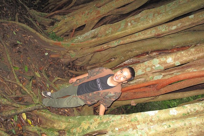 Small Group : Trekking Trip in Chiang Mai (Doi Suthep Area) With Market Tour - Contact Information and Terms & Conditions
