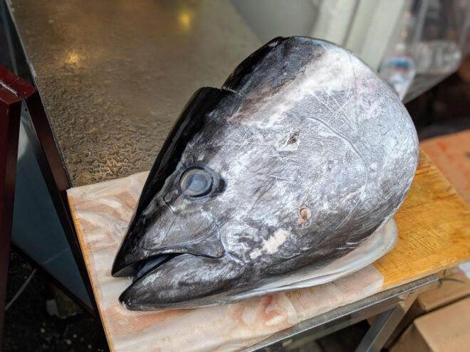 Small Group Tsukiji Fish Market Food Tour - Meeting Point and Tour Start Time