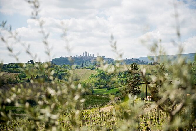 Small Group Tuscany Tour to Siena, San Gimignano and Winery Lunch - Booking Information