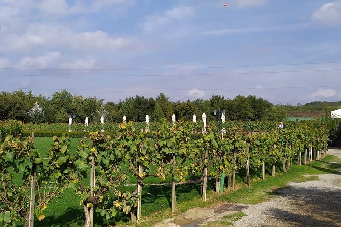 Small Group: Tuscany Wine Tour Siena and San Gimignano From Rome - Viator Help Center and Terms and Conditions