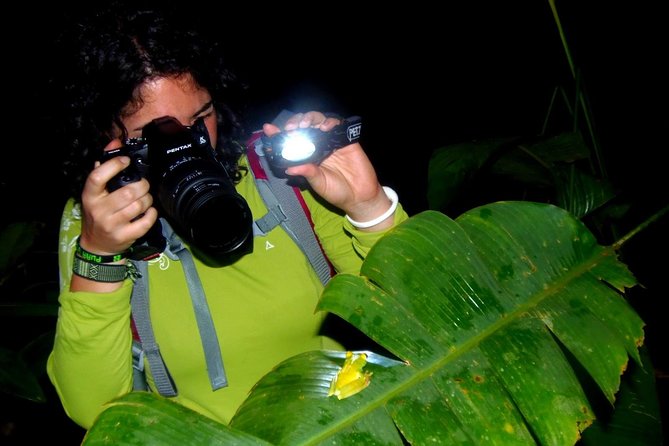 Small-Group Two-Hour Nighttime Wildlife Walk in the Forest  - Tortuguero - Inclusions