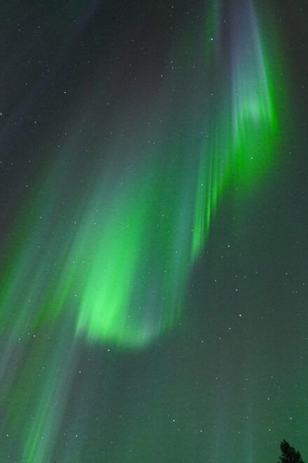 Small Group, Unlimited Range, Northern Lights Photo Safari - Cancellation Policy