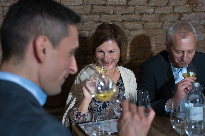Small-Group Vienna Evening Wine Tasting in Cellar - Overview of Austrian Wines and Regions