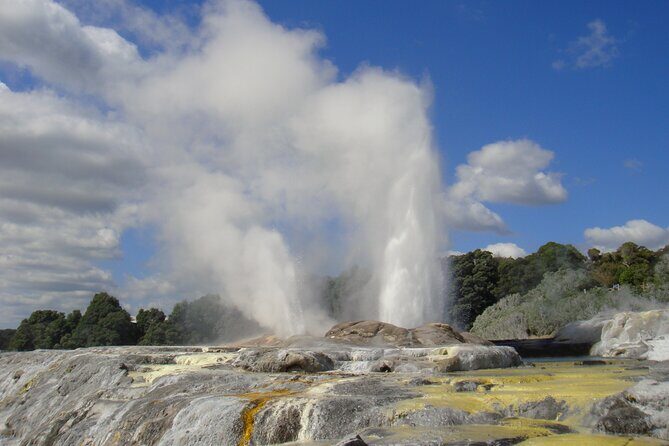 Small Group Waitomo and Rotorua including Te Puia Tour - Good To Know
