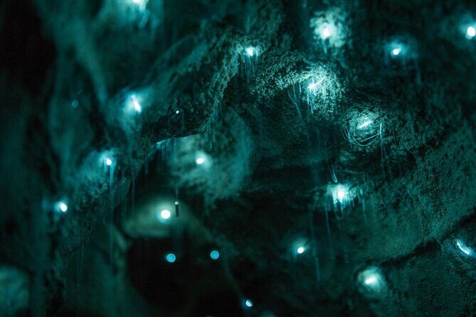 Small Group Waitomo and Rotorua including Te Puia Tour - FAQs