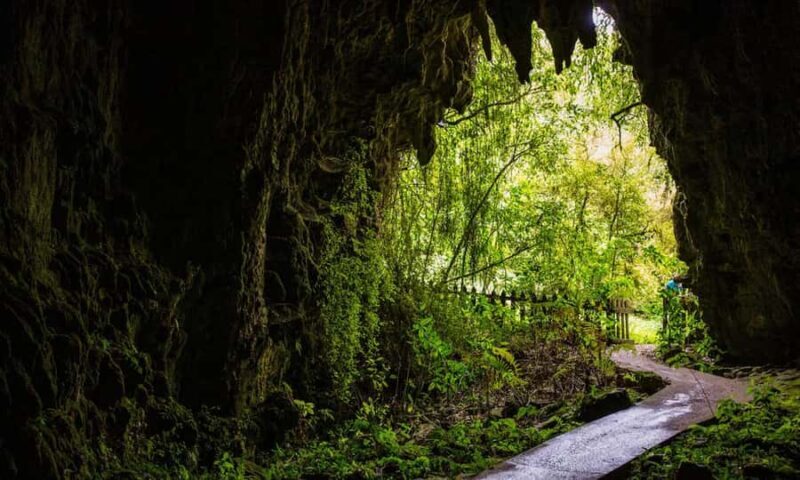 Small-Group Waitomo Glowworm Caves Day Tour from Auckland - Good To Know