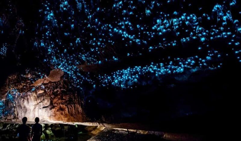 Small-Group Waitomo Glowworm Caves Day Tour from Auckland - An In-Depth Look at the Tour Experience