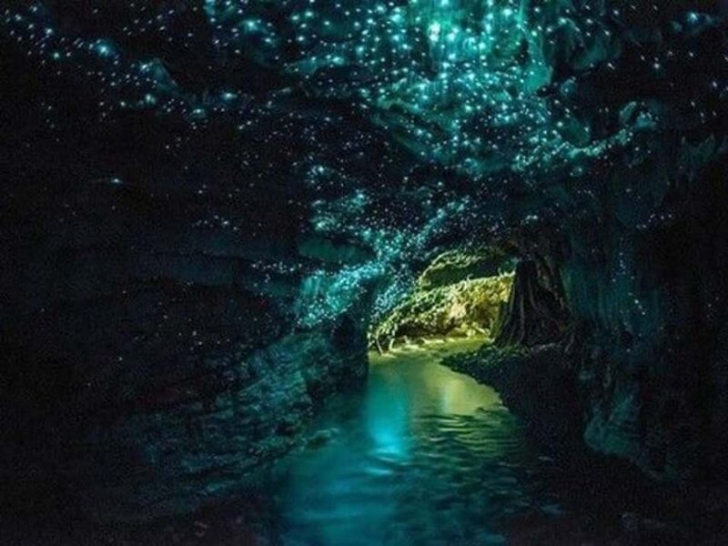 Small-Group Waitomo Glowworm Caves Day Tour from Auckland - Final Thoughts