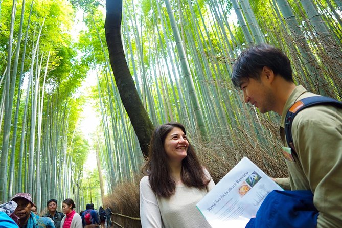 Small-Group Walking Tour With Kyoto-Style Lunch, Arashiyama - Itinerary Overview
