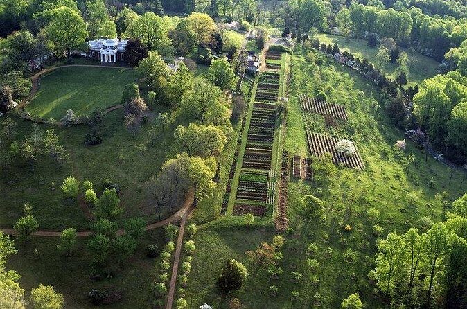 Small Group Washington DC to Thomas Jefferson Monticello Day Tour - Real Guest Perspectives: Insights from Reviewers