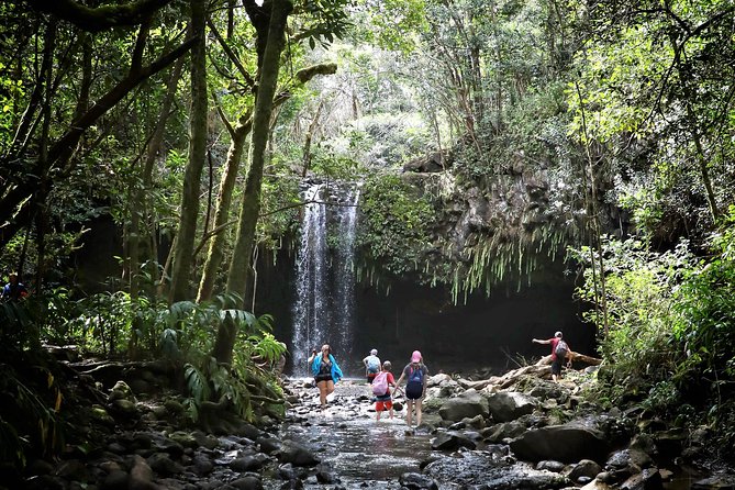Small Group Waterfall and Rainforest Hiking Adventure on Maui - Pricing and Booking