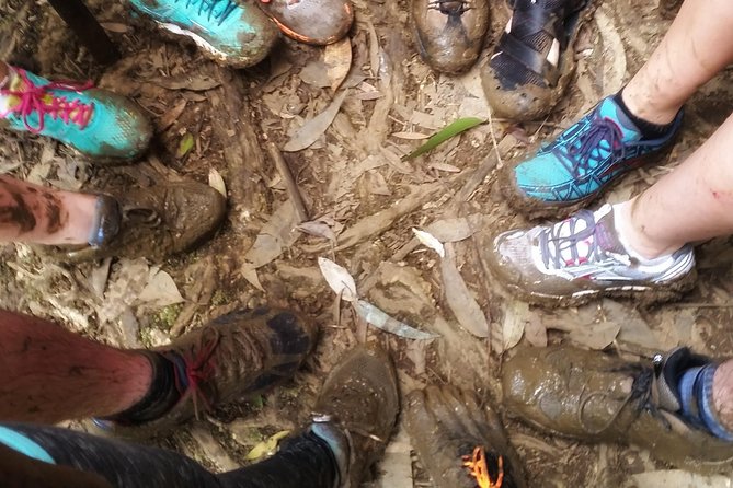 Small Group Waterfall and Rainforest Hiking Adventure on Maui - Tour Overview