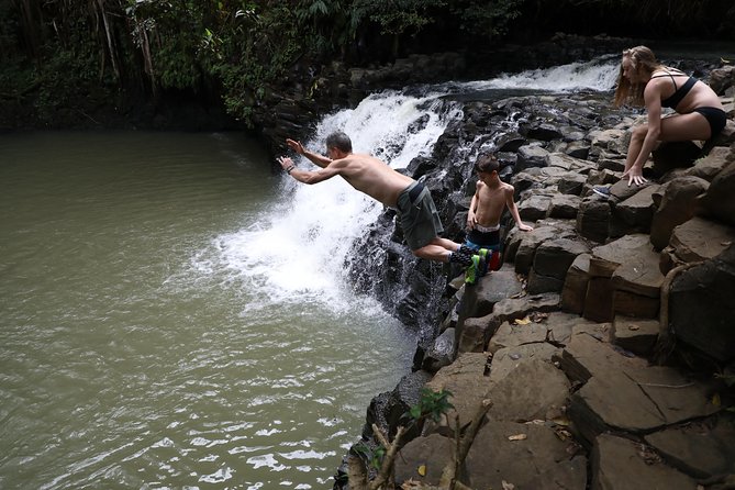 Small Group Waterfall and Rainforest Hiking Adventure on Maui - Additional Info