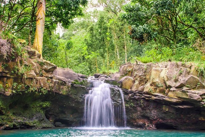 Small Group Waterfall and Rainforest Hiking Adventure on Maui - Cancellation Policy